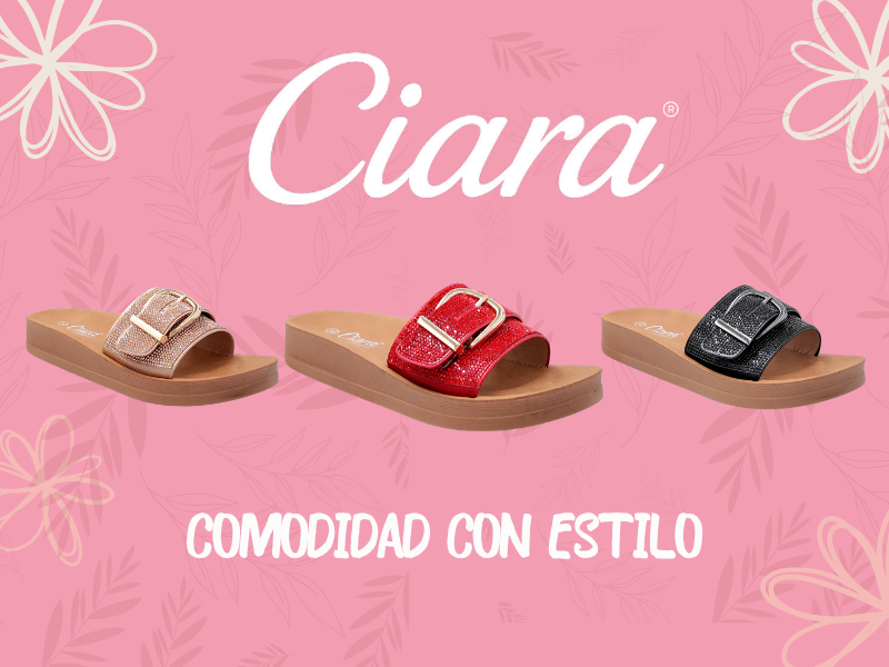 Colección Arco 11